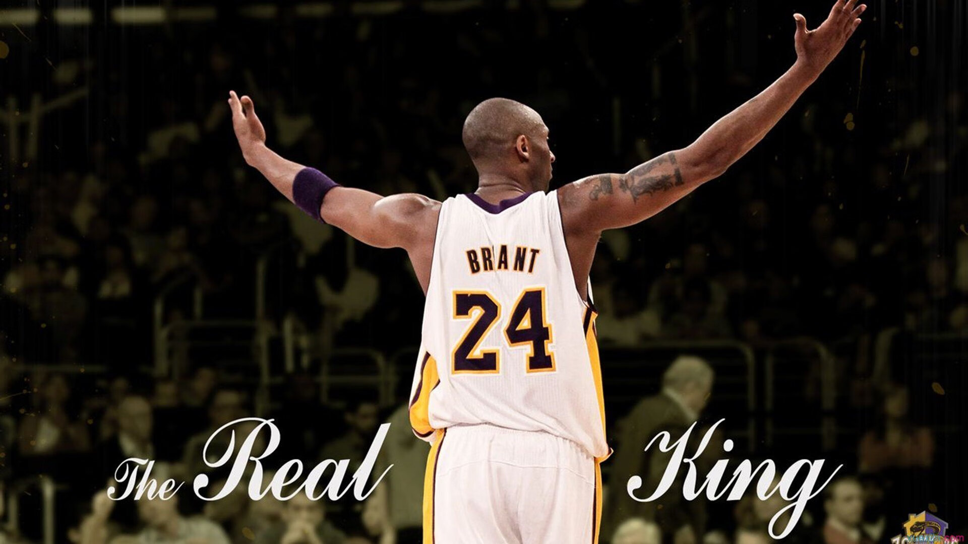 美加墨世界杯之夜，约基奇，那个在篮球宇宙中心跳舞的巨人